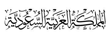 🇸🇦⚔️🇸🇦's banner