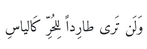 mohsin's banner