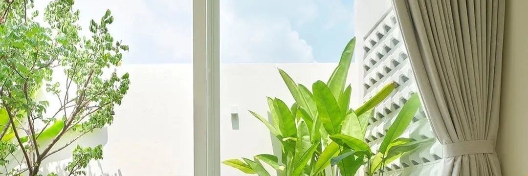 ᴘᴜᴛʀᴀ ғᴀɪsᴀʟ's banner