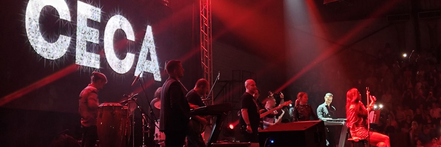 Барон Стефан's banner