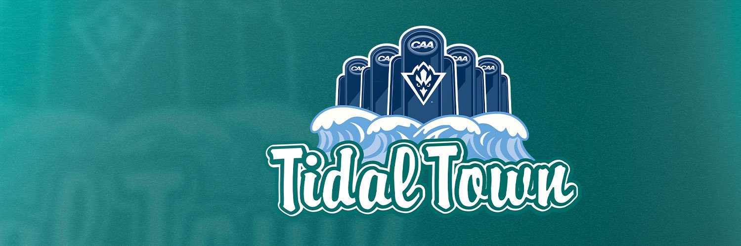 UNCW Baseball's banner