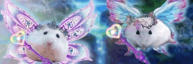 hanna ⚢'s banner
