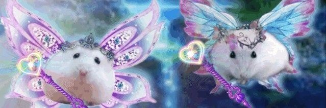 hanna ⚢'s banner