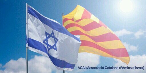 ACAI's banner