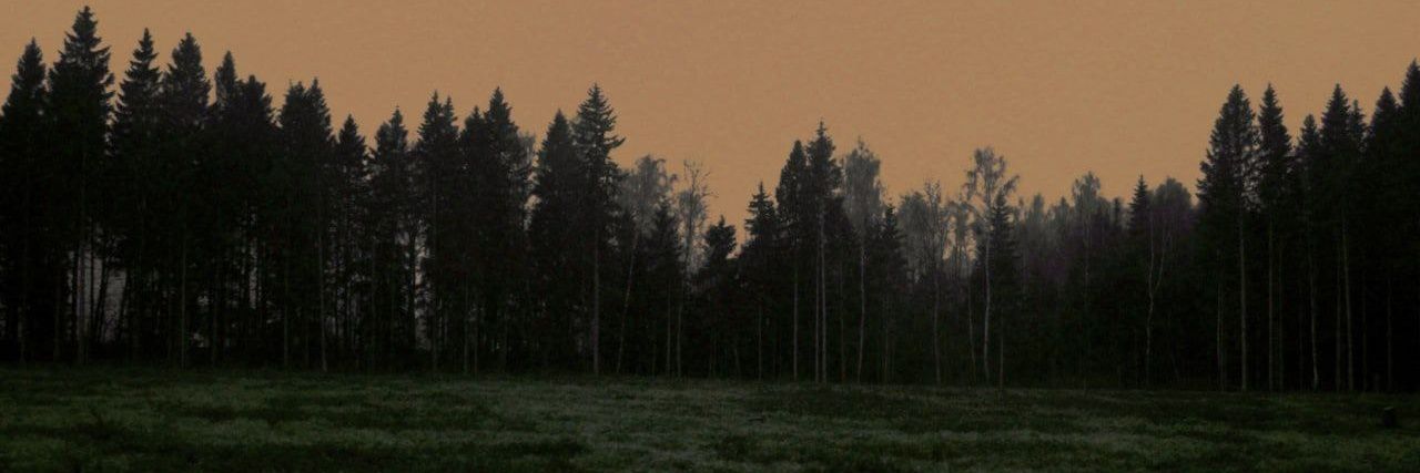 Sohib Imomov's banner
