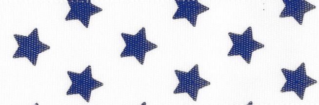 no labels, just eva★'s banner