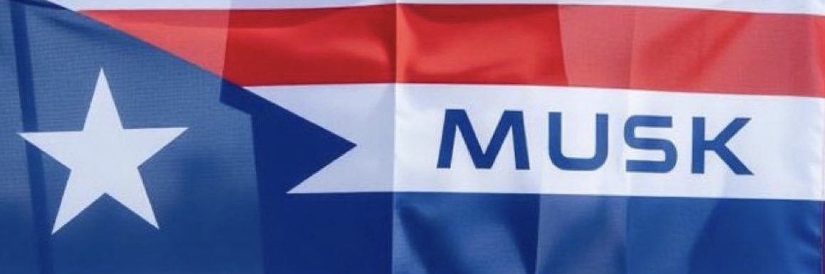PARODY SEC REEVE MUSK's banner