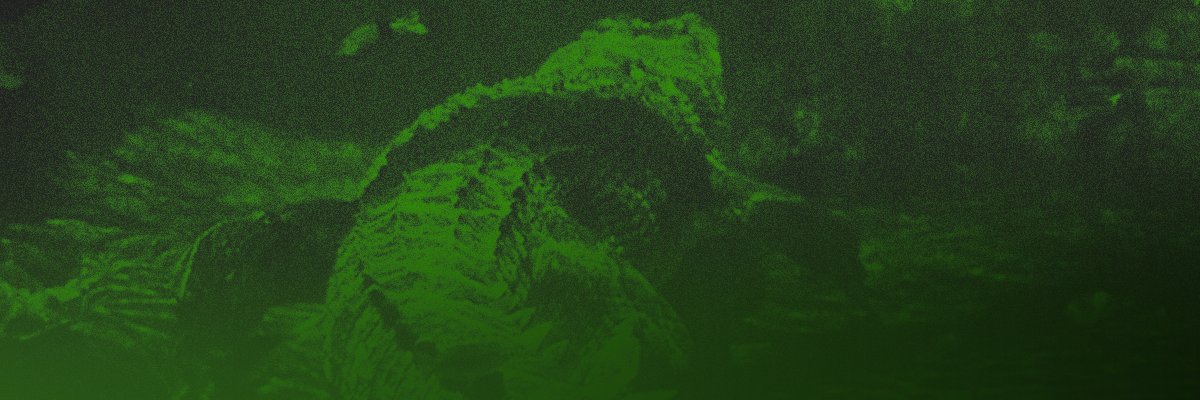 Substreet's banner
