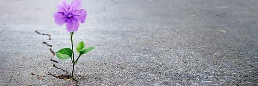 데보라's banner