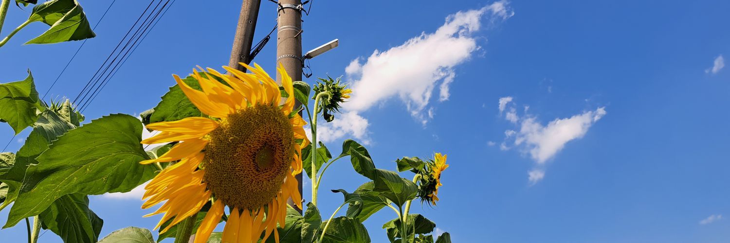 もちひと's banner