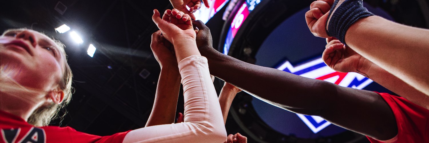 Arizona Basketball's banner