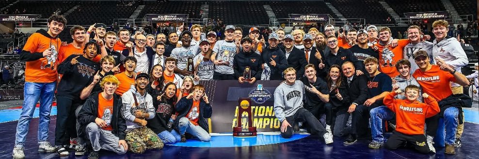 Wartburg Men’s Wrestling's banner