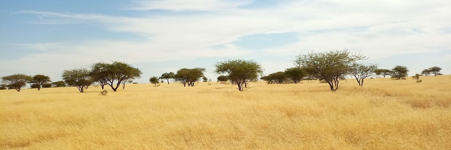 Le Niger 🇳🇪's banner