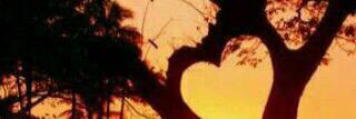 الحـــــربي's banner