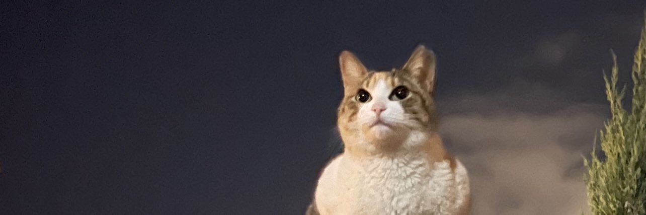 ねこ🇯🇵's banner