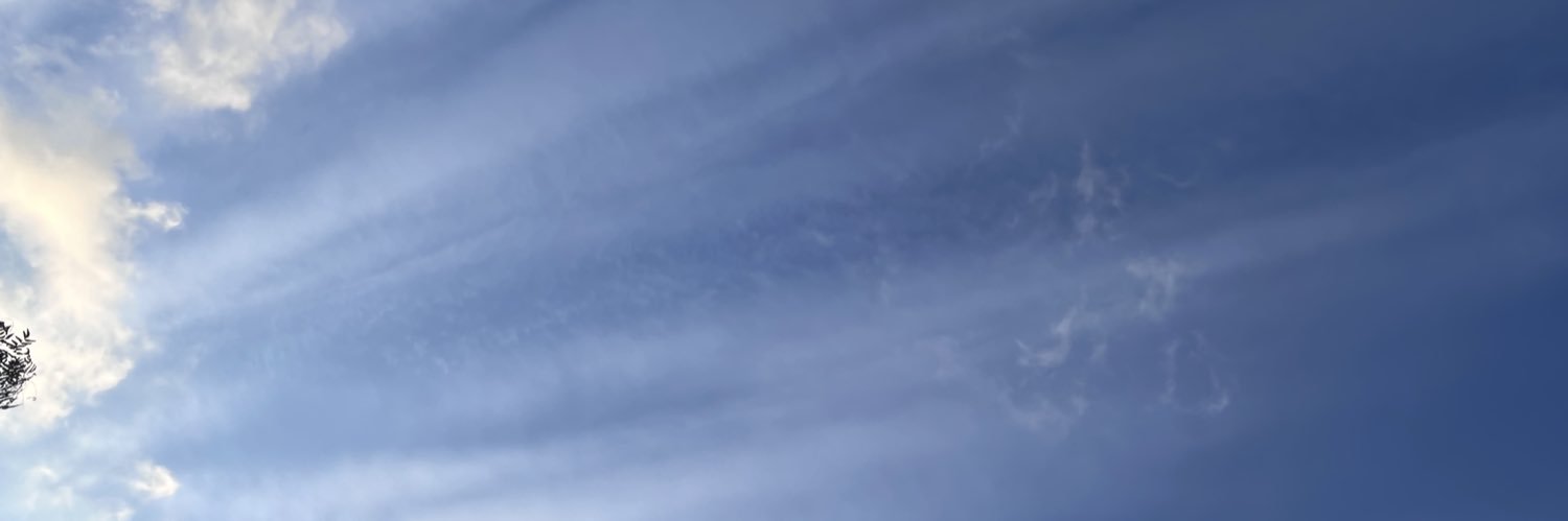 Naky Soto 🍃's banner