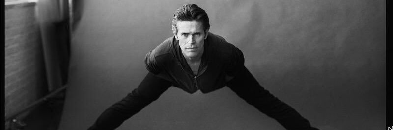 javi dafoe🍄's banner