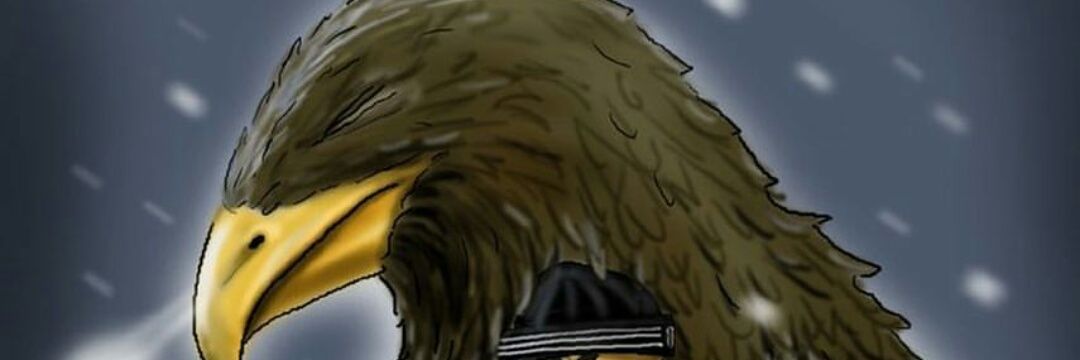 Veysel Ay's banner