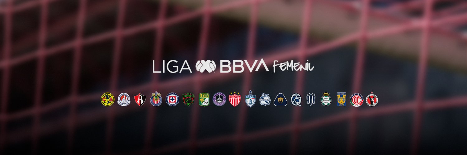 LigaBBVAFemenil's banner
