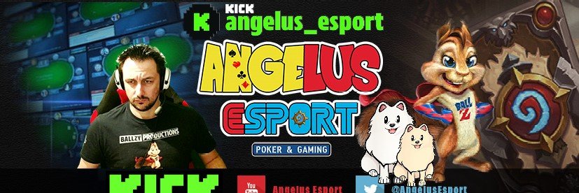 Angelus eSport's banner