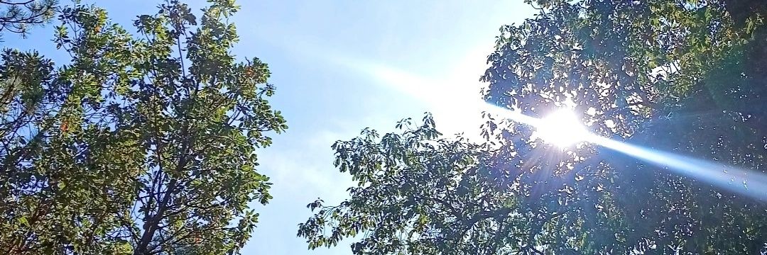 Little sunbeam☀️'s banner