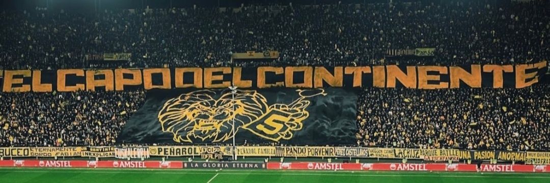 SIEMPRE A TU LADO's banner