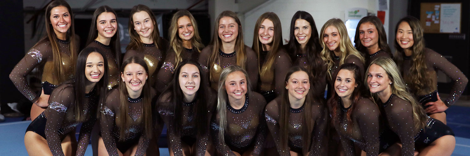 Western Michigan Gymnastics's banner