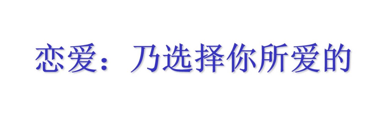 雨燕_swift's banner