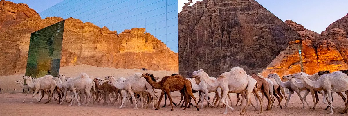 مسفر العجمي's banner