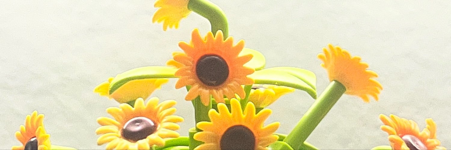 ข้าพเจ้า ไม่สมบูรณ์แบบ🌻's banner