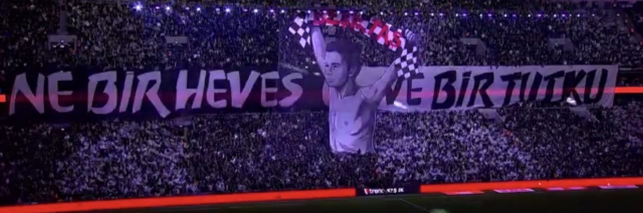 𝘈𝘙𝘐𝘌𝘚's banner