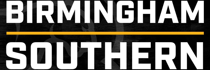 BSC Athletics's banner