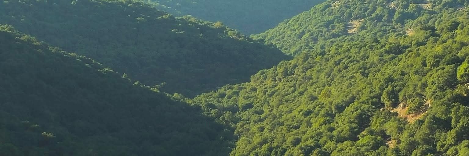 د.سناء درادكه's banner