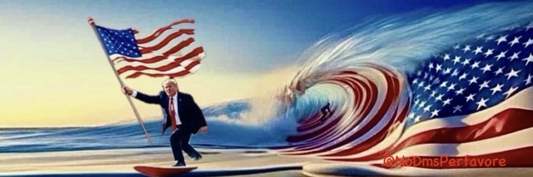 Denise 🇺🇸's banner