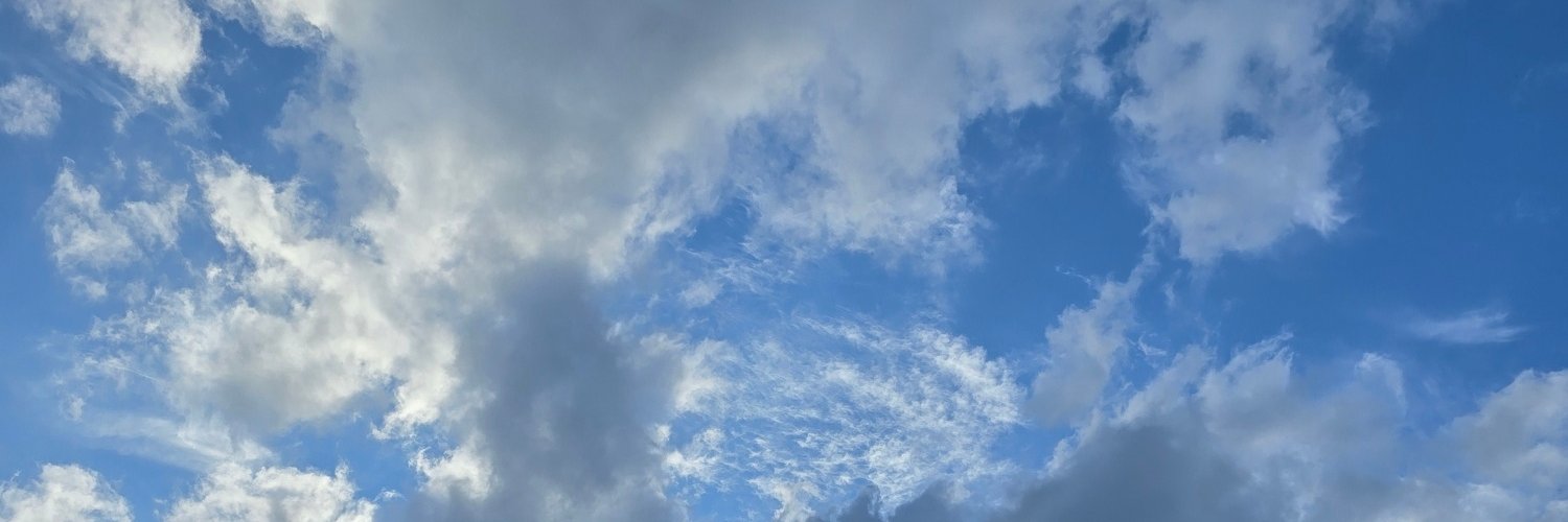 Roni Tiihonen's banner