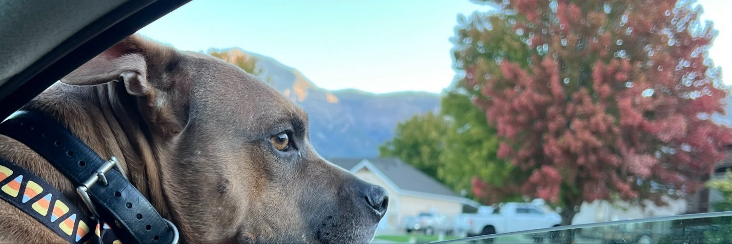 💕's banner
