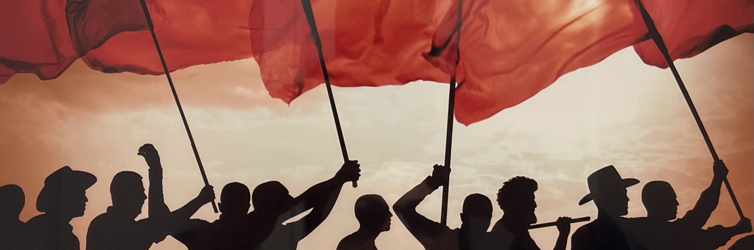 Albert Lévy's banner