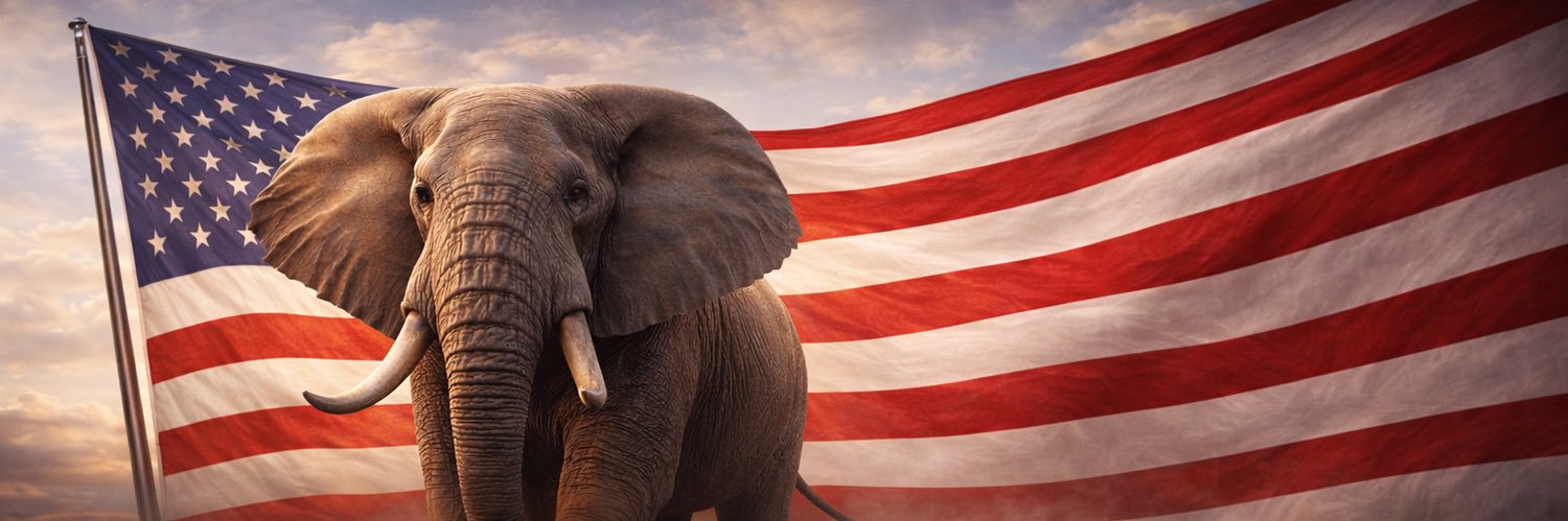 Proud Elephant 🇺🇸🦅's banner