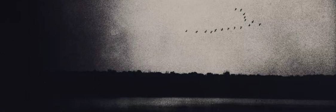 نادر's banner