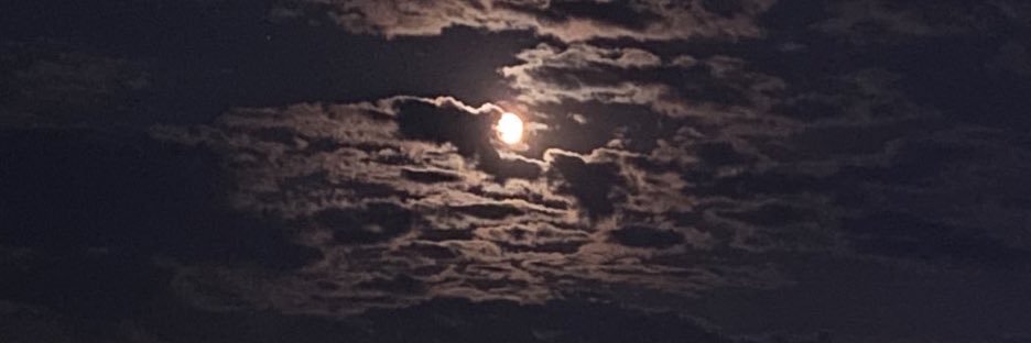 ᴀᴛᴏʀ's banner