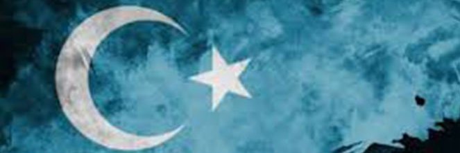 Selim KMD's banner