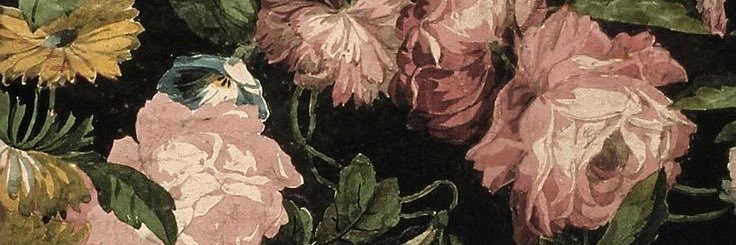 Chrysanthemum🌱's banner