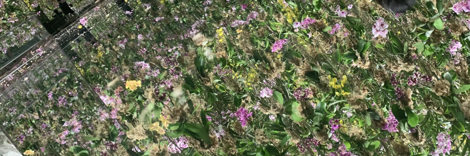 🌼's banner