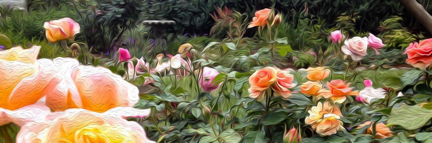 Jackie’s Bower 🐞's banner