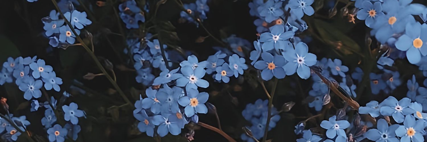 ⓇⓃⓄ ៚'s banner