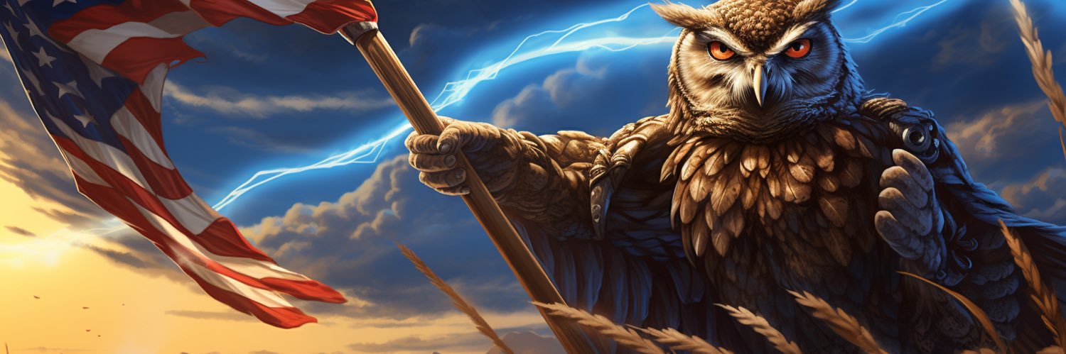 AnarchistOwl's banner