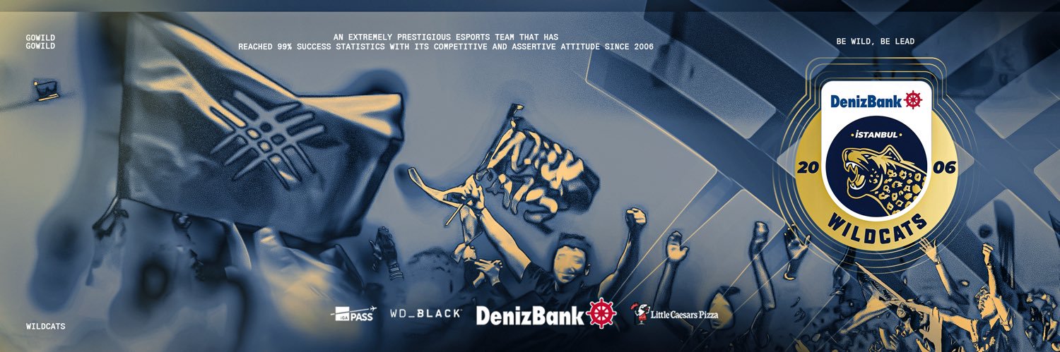 DenizBank İstanbul Wildcats's banner