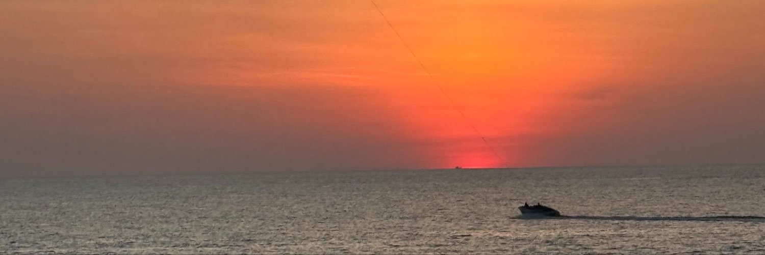 TheOne's banner