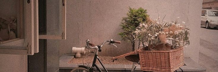 عبير 🌹's banner