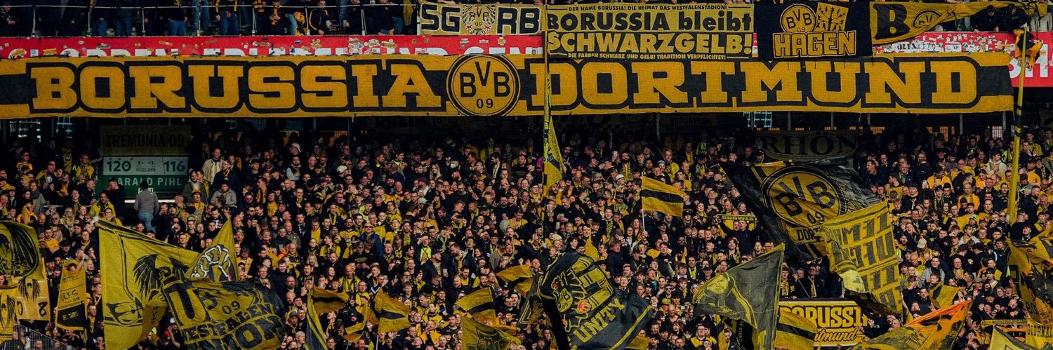 Wiktor🐝🇵🇱 #FabioSilvaEra's banner